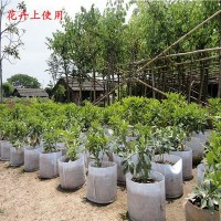 廣州廠家無(wú)紡布植樹(shù)袋加厚白色種植袋育苗袋花卉苗木蔬菜栽培袋