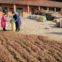 廠家批發湖北隨州油茶籽殼、茶粕、現貨量大從優