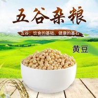 農家自產大豆黃豆現磨豆漿五谷雜糧粗糧豆腐原料豆類散裝
