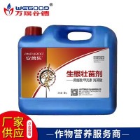 廠家批發 植物生長調節劑 ?；ūＥ蚬财諛飞鶋衙鐒?現貨批發