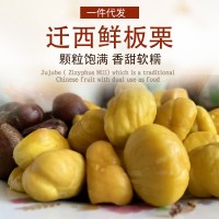 正宗遷西板栗