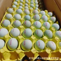批發(fā)新鮮蟲草雞蛋富硒無抗蛋土雞蛋笨雞蛋草雞蛋噴碼印字