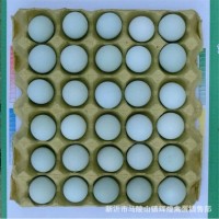 農(nóng)家批發(fā)大號綠殼雞蛋新鮮散養(yǎng)綠殼烏雞蛋農(nóng)家土雞蛋 綠殼草雞蛋