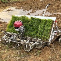輕巧型4行水稻插秧機水田農用全自動汽油6行種植移栽熱銷機型