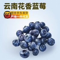 【京東快遞】云南花香藍莓L25鮮果新鮮水果中特大果當季時令批發(fā)