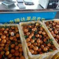 南豐桔銷量