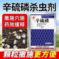 辛硫磷顆粒劑土壤專用農藥殺蛆防蟲劑大全專通殺地下害蟲批發零售