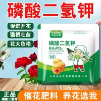 磷酸二氫鉀肥料花卉專用農用養植物盆栽促花磷鉀肥水溶葉面肥