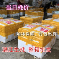 深圳牡蠣湛江生蠔批發(fā)鮮活水產(chǎn)海鮮新鮮臺(tái)山帶殼燒烤一箱100斤