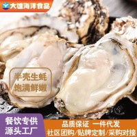 半殼生蠔特大原漿牡蠣鮮活冷凍新鮮帶殼生蠔燒烤商用批發(fā)