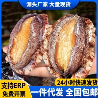 鮑魚肉去殼去內(nèi)臟冷凍鮮活大鮑魚新鮮佛跳墻食材海鮮燒烤煲湯商用