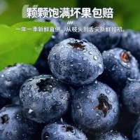 云南藍莓新鮮產(chǎn)地大藍莓云南怡顆莓寶寶L25藍莓鮮果順豐京東