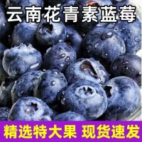 云南藍莓鮮果大果高山現(xiàn)摘當季新鮮水果整箱批發(fā)非怡顆莓京東空運
