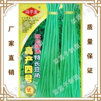 蔬菜種子 高鏟四號(hào)改良青選持長豆角 陽臺(tái)爬藤果盆栽