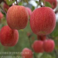 蘋果有機肥