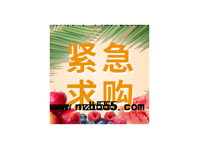 采購品種：楠木苗