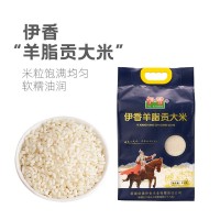 新疆羊脂御貢香米家用5kg粳米清香優(yōu)選新米伊犁伊香大米25年新米