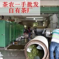 新茶鐵觀音安溪高山春茶 清香型茶葉散裝烏龍茶500g 茶農批發包郵