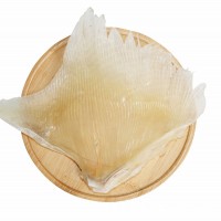廠家批發(fā)天九翅魚翅海狗翅海鮮煲湯蒲魚翅天星翅電商零售海鮮干貨