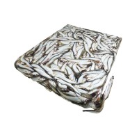 無(wú)籽多春魚(yú)冷凍燒烤商用冰鮮特大無(wú)冰衣無(wú)籽即食海鮮多春魚(yú)