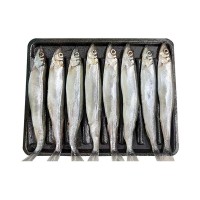 冷凍托盤(pán)多春魚(yú)燒烤日料煎炸食材帶籽多春魚(yú)整箱滿籽母體多春魚(yú)