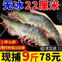 包郵冷凍大速凍青島基圍蝦蝦鮮活蝦海蝦鹽凍青蝦0海鮮水產包裝