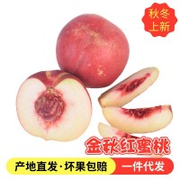 煙臺晚熟水蜜桃產地包郵桃子 新鮮現摘現發脆甜多汁大果 金秋紅蜜