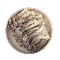 【廠家批發(fā)】一級鹿茸菇干貨農(nóng)產(chǎn)品菌菇500g整條無硫煲湯食材鮮嫩
